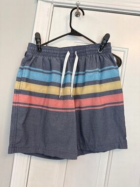 Chubbies men’s swim short